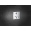 Single Function 2-Handle Thermostatic Valve Trim, 24110GN0