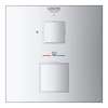 Single Function 2-Handle Thermostatic Valve Trim, 24157000