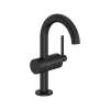 Atrio Single Hole Single-Handle M-Size Bathroom Faucet, 1.2 GPM (4.5 L/min), 243512430