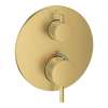 Atrio Single Function 2-Handle Thermostatic Valve Trim, 24360GN0