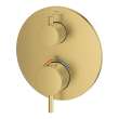 Dual Function 2-Handle Thermostatic Valve Trim, 24361GN0