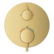 Dual Function 2-Handle Thermostatic Valve Trim, 24361GN0