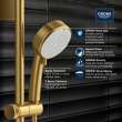 100 Hand Shower - 2 Sprays, 1.75 GPM (6.6 L/min), 26046GN2