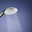 Tempesta 110 Round 2-Spray Hand Shower, 1.5 GPM (5.7 L/min), 26047002