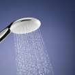 Tempesta 110 Round 2-Spray Hand Shower, 1.5 GPM (5.7 L/min), 26047002
