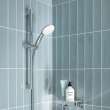 Tempesta 110 Round 2-Spray Hand Shower, 1.5 GPM (5.7 L/min), 26047002