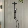 210 Shower System, 1.75 gpm (6.6 L/min), 261232431
