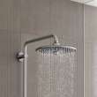 260 Shower Head, 10