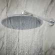 310 Mono Shower Head, 12
