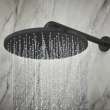 310 Mono Shower Head, 12