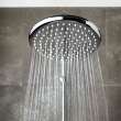 250 Rain Shower Head, 9 7⁄8