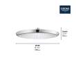 250 Rain Shower Head, 9 7⁄8