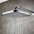 250 Rain Showerhead, 9 7⁄8