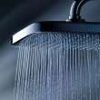 250 Rain Showerhead, 9 7⁄8