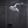 Shower Head, 6-1/2