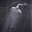 Shower Head, 6-1/2