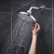 Shower Head, 6-1/2