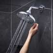 Shower Head, 6-1/2