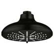Shower Head, 6-1/2