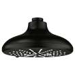 Shower Head, 6-1/2