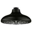 Shower Head, 6-1/2