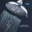Shower Head, 6-1/2