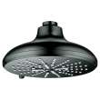 Shower Head, 6-1/2