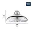 Shower Head, 6-1/2