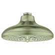 Shower Head, 6-1/2