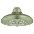 Shower Head, 6-1/2