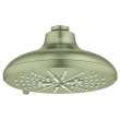 Shower Head, 6-1/2