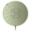 Shower Head, 6-1/2