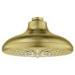 Shower Head, 6-1/2