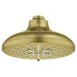 Shower Head, 6-1/2