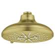 Shower Head, 6-1/2