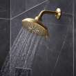 Shower Head, 6-1/2