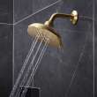 Shower Head, 6-1/2