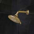 Shower Head, 6-1/2