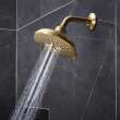 Shower Head, 6-1/2