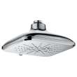 Shower Head, 6-1/2