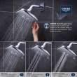 Shower Head, 6-1/2