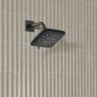 Shower Head, 6-1/2