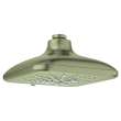 Shower Head, 6-1/2