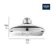 Shower Head, 6-1/2