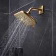 Shower Head, 6-1/2