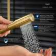 Sena Stick Hand Shower - 1 Spray, 1.75 GPM (6.6 L/min), 26866GN0