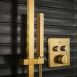 Euphoria Cube+ Stick Hand Shower - 1 Spray, 1.75 GPM (6.6 L/min), 26867GN0