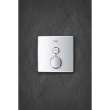 Single Function Thermostatic Valve Trim, 29140EN0