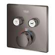 Dual Function Thermostatic Valve Trim, 29141A00