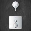 Dual Function Thermostatic Valve Trim, 29141A00